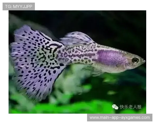 世界游泳挑战赛惊现“水中神兽”，网友看呆