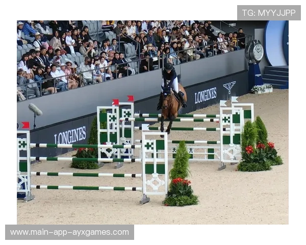 马术冠军与爱马互动视频爆红，被誉为“人马合一”典范