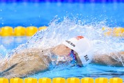 2026体育大年：赛历密集，赞助商争夺白热化，今年体育大赛